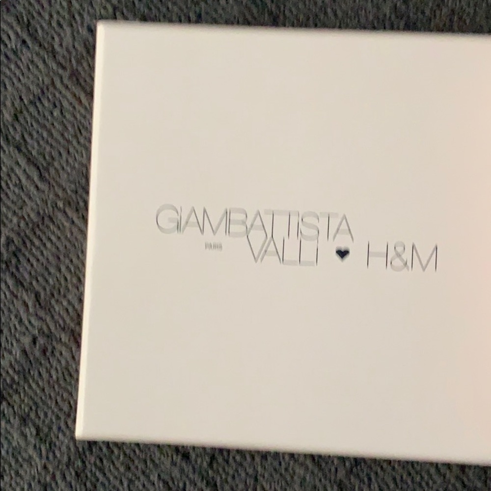 Giambattista Valli ❤️H&M earings